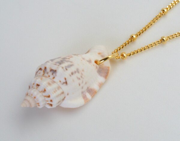 Collar Caracola - Imagen 7