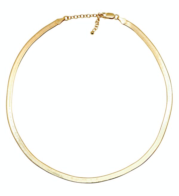 Collar GOLDEN SNAKE 5mm - Imagen 9